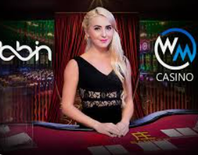 AG亚娱官方网站入口2024最新版